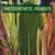 Photosynthetic Pigments: Definition, Meaning Types, Examples, Functions